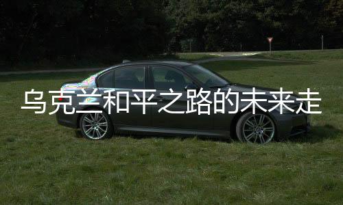 烏克蘭和平之路的未來走向