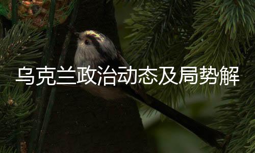 烏克蘭政治動(dòng)態(tài)及局勢(shì)解析，澤連斯基的去留與其未來(lái)發(fā)展挑戰(zhàn)分析