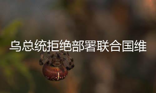 烏總統(tǒng)拒絕部署聯(lián)合國(guó)維和部隊(duì)方案，分析及其背后因素