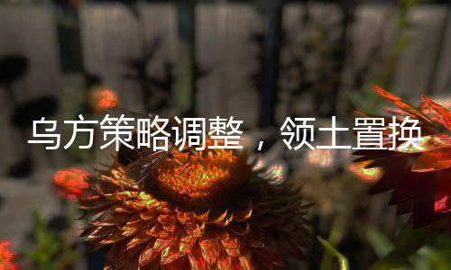 烏方策略調整，領土置換計劃揭秘