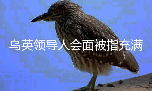 烏英領(lǐng)導(dǎo)人會面被指充滿表演元素，一場備受矚目的政治盛會