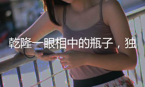 乾隆一眼相中的瓶子，獨(dú)具匠心的動(dòng)畫特效珍品
