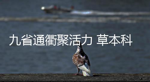 九省通衢聚活力 草本科技映未來(lái)丨毛鋪草本中國(guó)行第二季圓滿收官