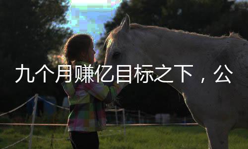 九個(gè)月賺億目標(biāo)之下，公司的轉(zhuǎn)型與多重子公司注銷(xiāo)探秘
