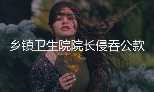 鄉(xiāng)鎮(zhèn)衛(wèi)生院院長侵吞公款300余萬元的深度調(diào)查