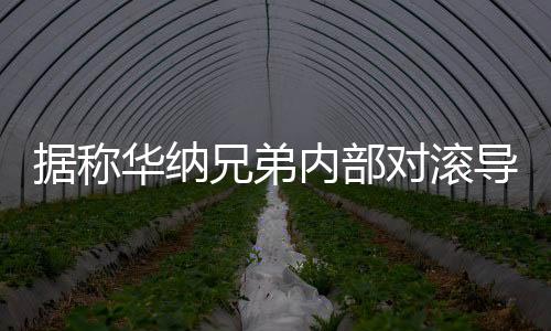 據(jù)稱華納兄弟內(nèi)部對滾導(dǎo)新《超人》正式預(yù)告并不滿意