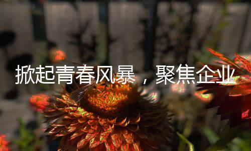 掀起青春風暴，聚焦企業(yè)博士招聘的青春之秘——那些新潮流下的人才發(fā)展戰(zhàn)略