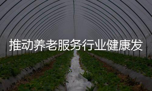 推動養(yǎng)老服務(wù)行業(yè)健康發(fā)展 四項行業(yè)標(biāo)準(zhǔn)今起實施