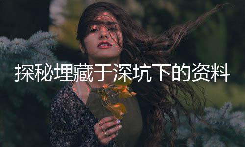 探秘埋藏于深坑下的資料寶庫，揭秘價(jià)值連城數(shù)據(jù)的深度存儲(chǔ)之旅