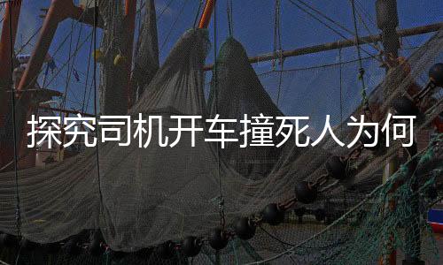 探究司機開車撞死人為何無刑責？全面解讀背后的法律邏輯