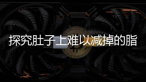 探究肚子上難以減掉的脂肪，成因與應(yīng)對之道