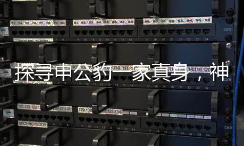 探尋申公豹一家真身，神秘動(dòng)物身份之謎