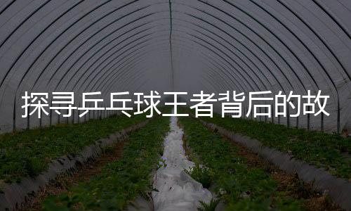 探尋乒乓球王者背后的故事，記者提問業(yè)余問題引發(fā)馬龍深度思考
