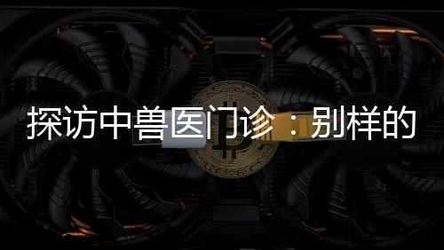 探訪中獸醫(yī)門診：別樣的診療手法進行望、聞、問、切