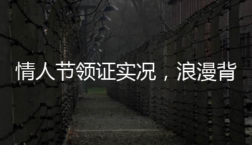 情人節(jié)領(lǐng)證實況，浪漫背后的忙碌與期待