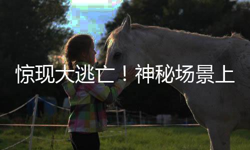 驚現(xiàn)大逃亡！神秘場(chǎng)景上演42頭豬的高速之旅