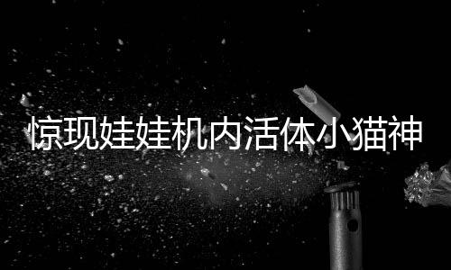 驚現(xiàn)娃娃機(jī)內(nèi)活體小貓神秘娃娃機(jī)出現(xiàn)神秘生命，引發(fā)社會(huì)關(guān)注熱潮