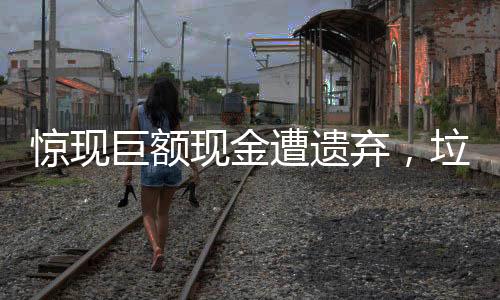 驚現(xiàn)巨額現(xiàn)金遭遺棄，垃圾堆中意外發(fā)現(xiàn)十萬現(xiàn)金的秘密