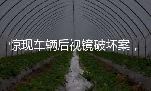 驚現(xiàn)車輛后視鏡破壞案，六十余輛私家車遭殃，警方緊急介入調(diào)查