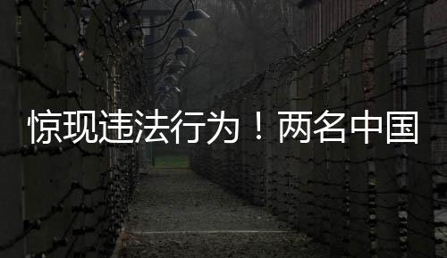 驚現(xiàn)違法行為！兩名中國男子夜?jié)擁n國寺廟偷骨灰事件調(diào)查報道
