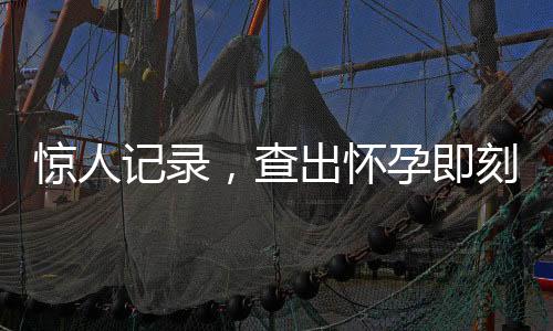 驚人記錄，查出懷孕即刻誕生，7號到生產(chǎn)成時間濃縮之謎——育兒新時代的奇跡篇章