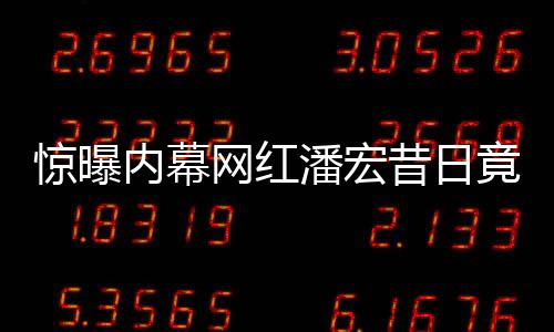 驚曝內(nèi)幕網(wǎng)紅潘宏昔日竟有刑事犯罪記錄，光環(huán)背后隱藏真相揭秘