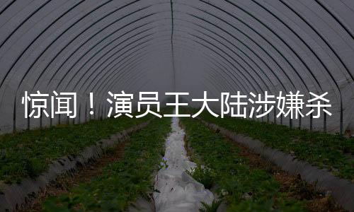 驚聞！演員王大陸涉嫌殺人未遂遭逮捕，引發(fā)社會關注