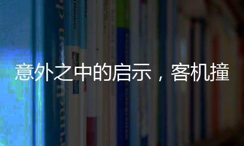 意外之中的啟示，客機(jī)撞狐貍中止起飛事件深度解析