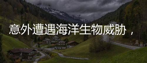 意外遭遇海洋生物威脅，男子被螃蟹夾手緊急求助消防隊