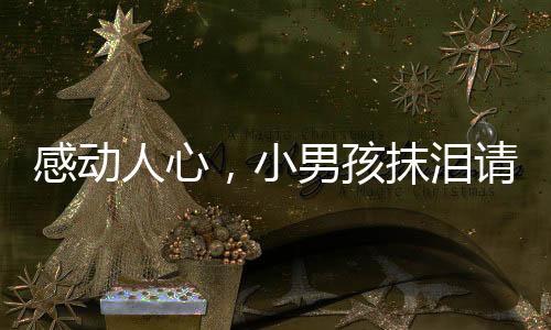 感動(dòng)人心，小男孩抹淚請(qǐng)求為用餐老人免單的故事