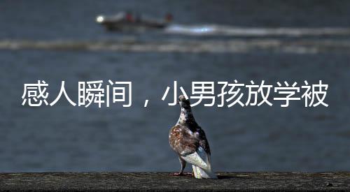 感人瞬間，小男孩放學(xué)被爸爸擁抱后的真情流露