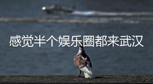 感覺(jué)半個(gè)娛樂(lè)圈都來(lái)武漢了
