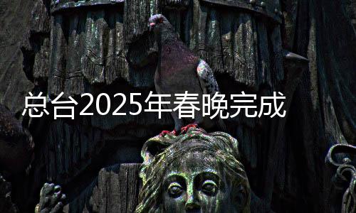 總臺(tái)2025年春晚完成全部五次彩排，精心籌備展現(xiàn)精彩盛宴