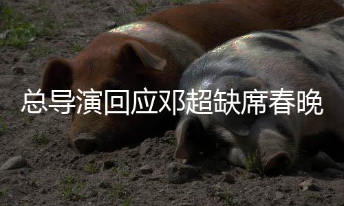 總導(dǎo)演回應(yīng)鄧超缺席春晚，原因揭秘與未來展望