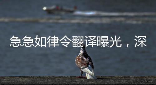 急急如律令翻譯曝光，深度探究翻譯行業(yè)的現(xiàn)狀與挑戰(zhàn)