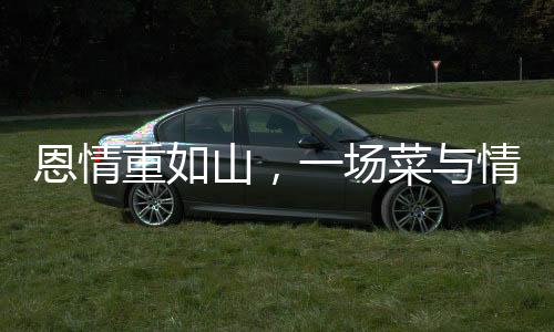 恩情重如山，一場菜與情感的奇妙邂逅