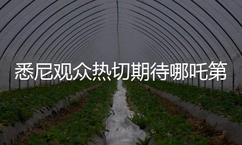 悉尼觀眾熱切期待哪吒第三部，催更熱潮掀起