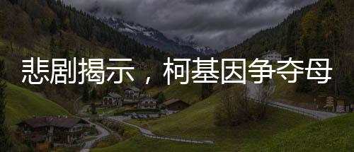 悲劇揭示，柯基因爭(zhēng)奪母狗而大打出手，意外失利導(dǎo)致不幸身亡