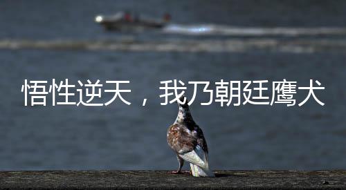 悟性逆天，我乃朝廷鷹犬