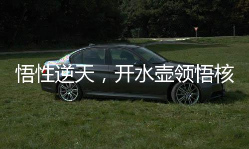 悟性逆天，開水壺領(lǐng)悟核聚變！