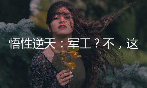悟性逆天：軍工？不，這只是民用