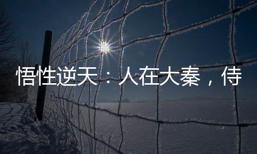 悟性逆天：人在大秦，侍女少司命