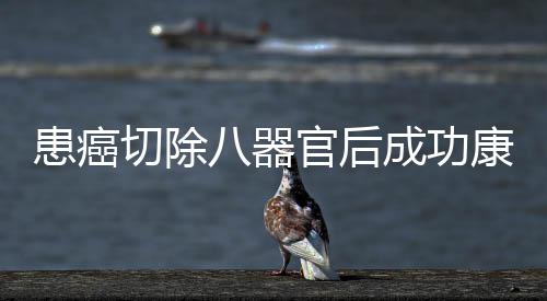 患癌切除八器官后成功康復(fù)，一位患者的奇跡重生之旅