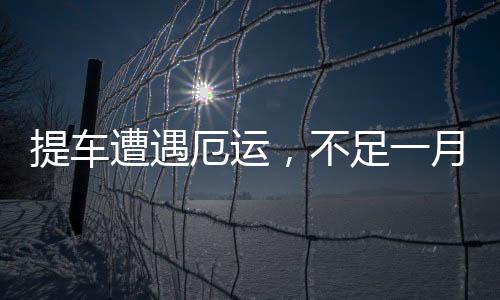 提車遭遇厄運，不足一月慘遭點燃一起探究事件的來龍去脈