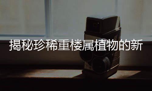 揭秘珍稀重樓屬植物的新發(fā)現(xiàn)，展現(xiàn)大自然神秘魅力的一二三四五六七八九十