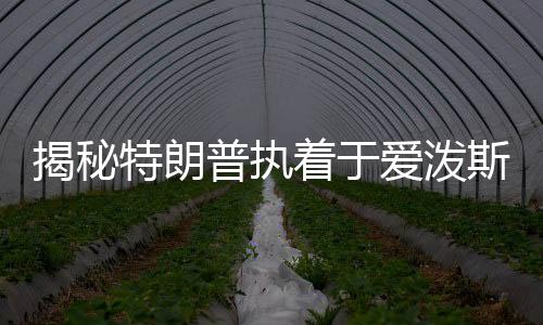 揭秘特朗普?qǐng)?zhí)著于愛潑斯坦案的背后原因