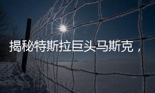 揭秘特斯拉巨頭馬斯克，資金來源巨額資金流向成謎