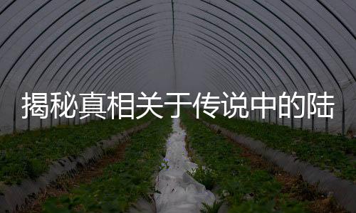 揭秘真相關于傳說中的陸游器，一場科技與文化的探索之旅