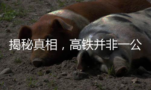 揭秘真相，高鐵并非一公里耗一萬度電，破除誤導(dǎo)傳言！