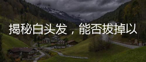 揭秘白頭發(fā)，能否拔掉以及拔白的考量因素